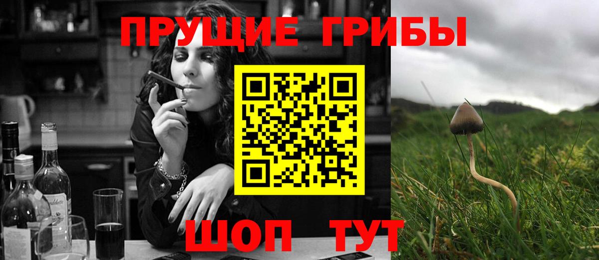 Галлюциногенные грибы MAGIC MUSHROOMS Гурьевск