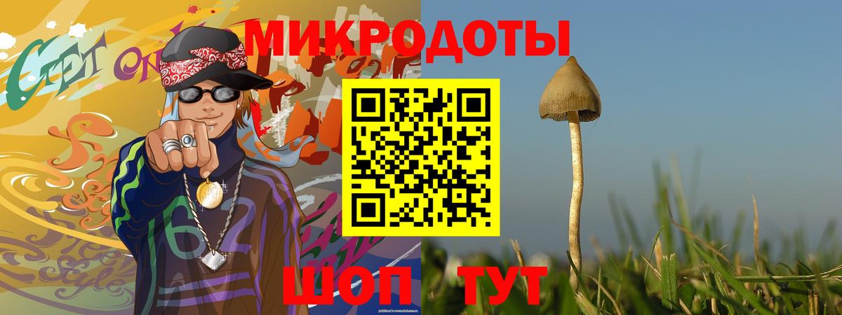 Псилоцибиновые грибы прущие грибы  Псилоцибиновые грибы прущие грибы  Гурьевск  Вход с VPN 
